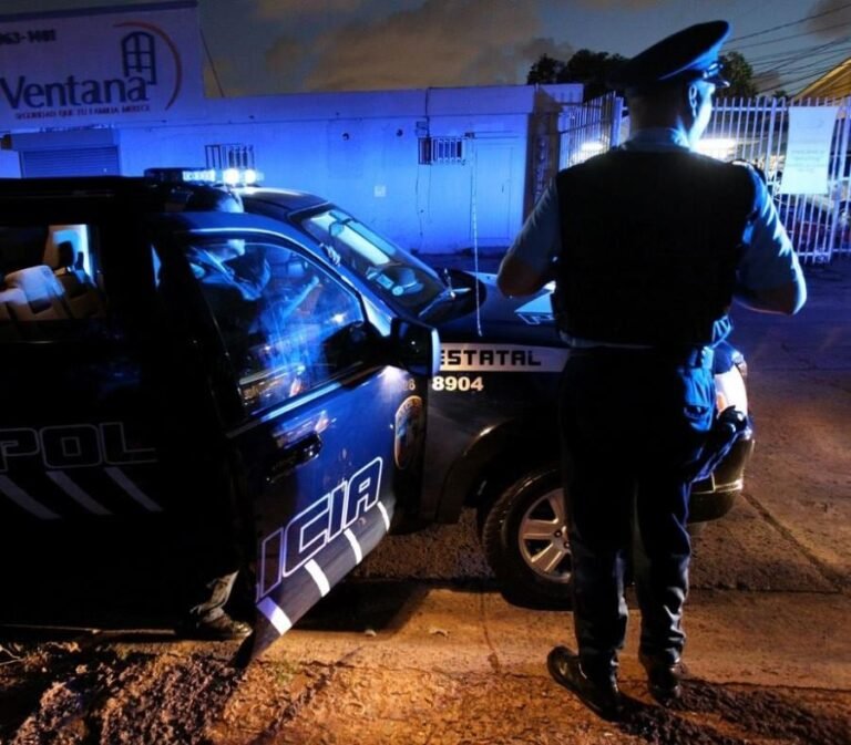 La Policía indicó que falleció un perro que acompañaba al perjudicado