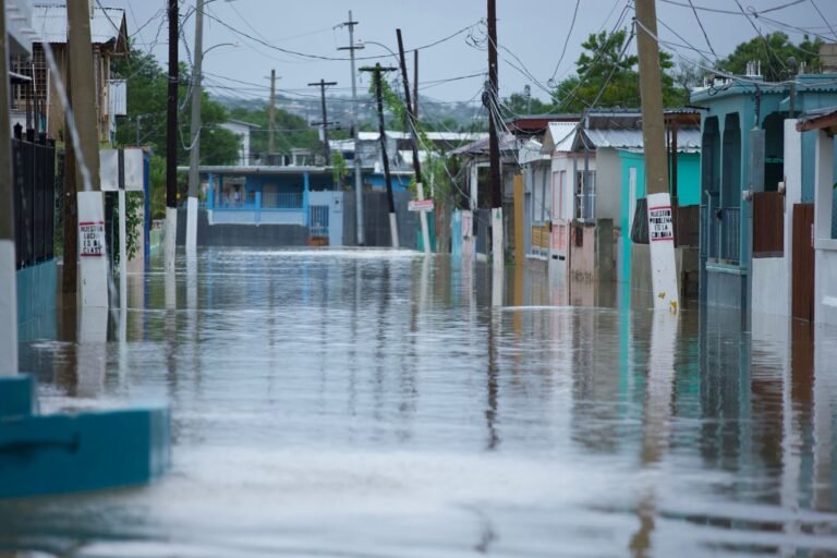 Al momento, se establecerán 27 de estas instalaciones alrededor de la isla y estarán a cargo de municipios, agencias y organizaciones sin fines de lucro