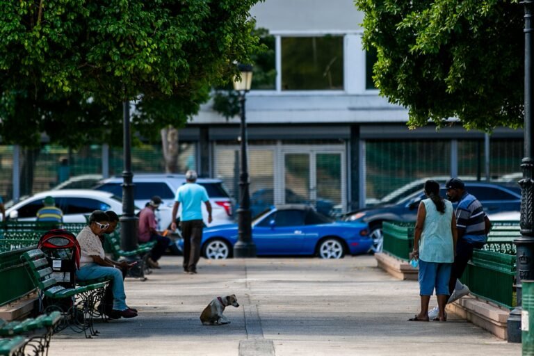 El aparente victimario era chofer en el programa Head Start del municipio