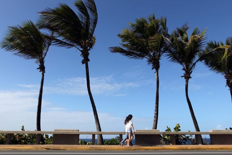 El Servicio Nacional de Meteorología advirtió que esta brisa fuerte promoverá oleaje picado en Puerto Rico