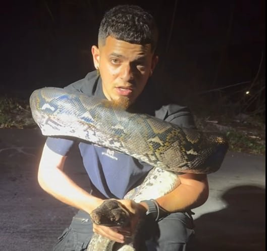 En un vídeo compartido en redes sociales, el rescatista mostró lo peligroso que puede ser manipular al reptil