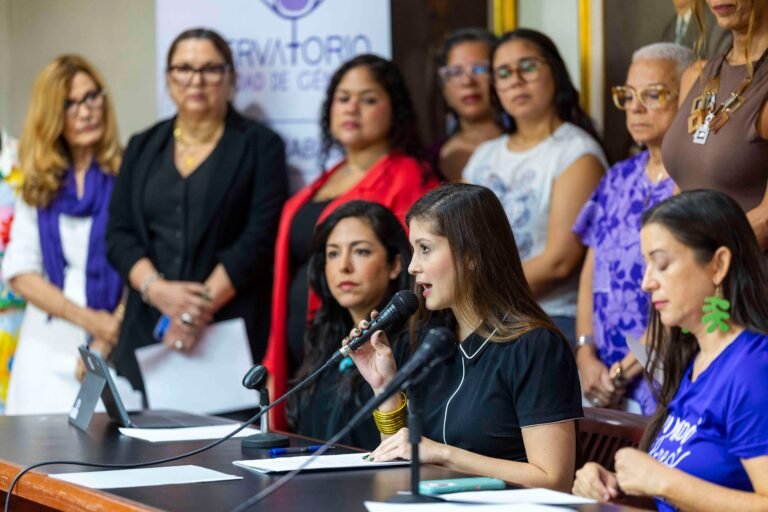 Al lanzar la campaña “Ni olvido ni silencio”, el Observatorio de Equidad de Género reclamó que 113 de los casos permanecen bajo investigación
