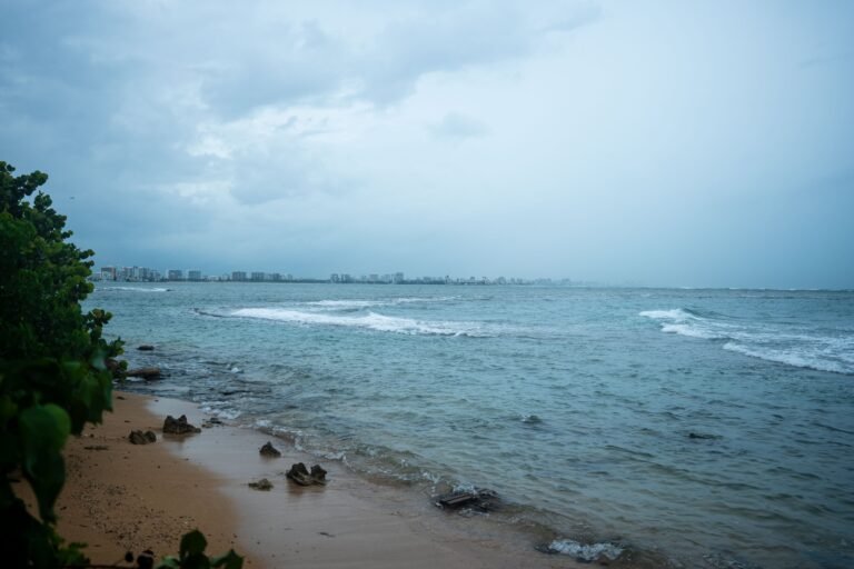 Mientras, los vientos del norte podrían traer el esperado “frío navideño” a mediados de la próxima semana