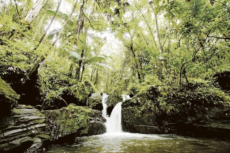 El Servicio Nacional de Meteorología en San Juan espera rondas de aguaceros, especialmente en el este y sur de Puerto Rico