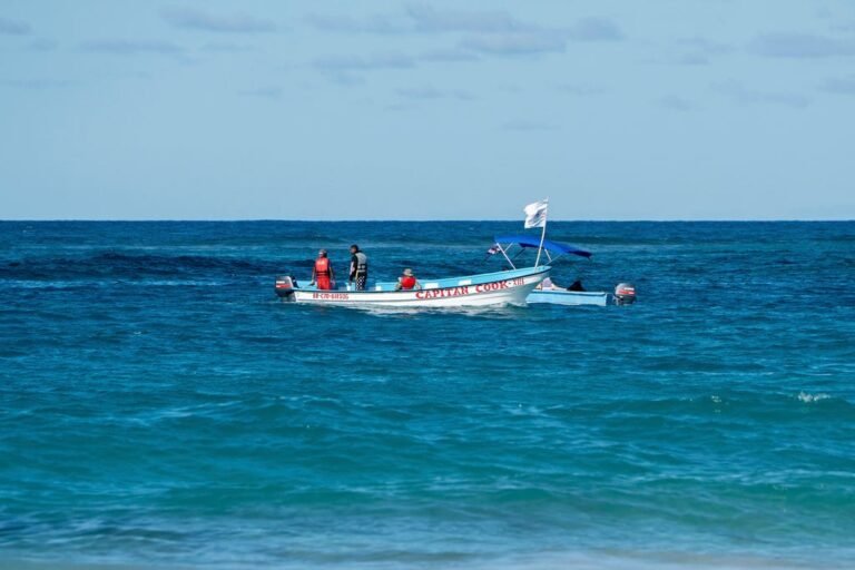 Se trataba de una embarcación de una empresa de excursiones que navegaba por Los Haitises