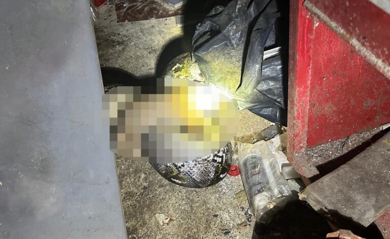 Gongo Fishing dio a conocer el caso e hizo un llamado para que los ciudadanos estén pendientes de sus mascotas