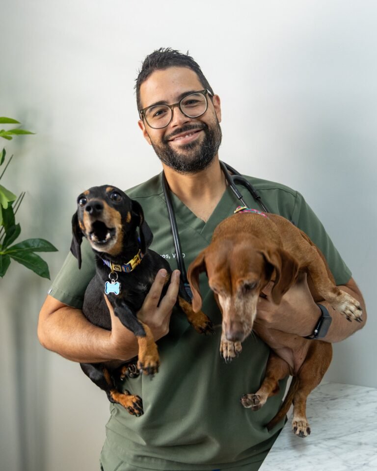 El doctor de 39 años relata los retos y satisfacciones de volver a la isla tras completar su formación académica en el exterior y establecerse como el único médico de animales en la Capital Indígena