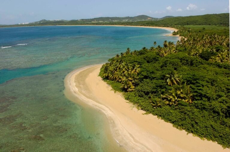 El Centro para la Investigación y Manejo del Ámbito de El Yunque solicitó el retiro el proyecto, al tiempo que Foundation for Puerto Rico lo defendió