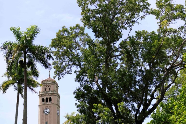 Siete entidades públicas obtienen más de $100 millones adicionales, un contraste marcado con la Universidad de Puerto Rico y los municipios, que han sufrido el grueso de los recortes