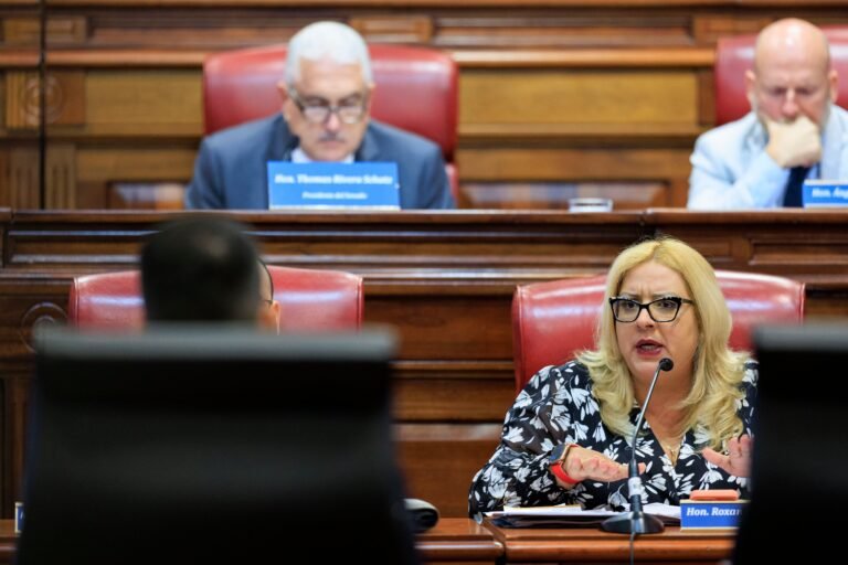 La legisladora del PNP negó los señalamientos