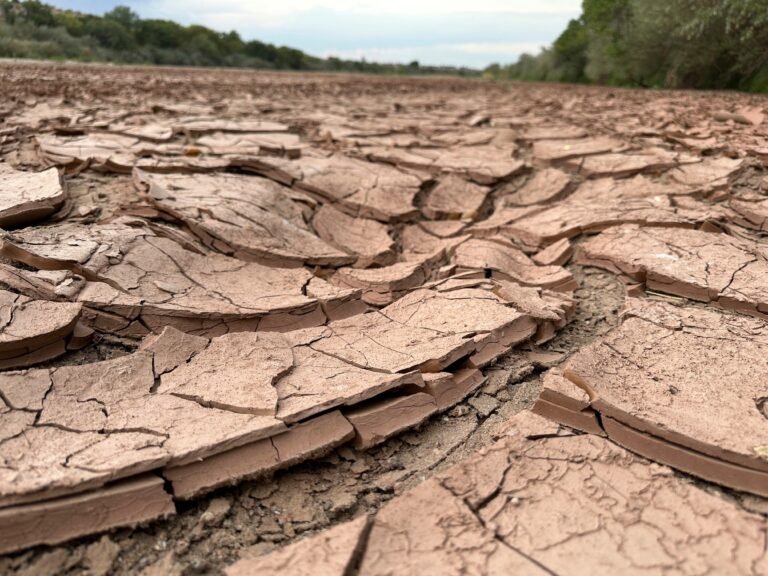 La cuenca proporciona agua potable a 15 millones de personas en Estados Unidos y México y permite irrigar casi 2 millones de acres de tierras de cultivo en ambos países