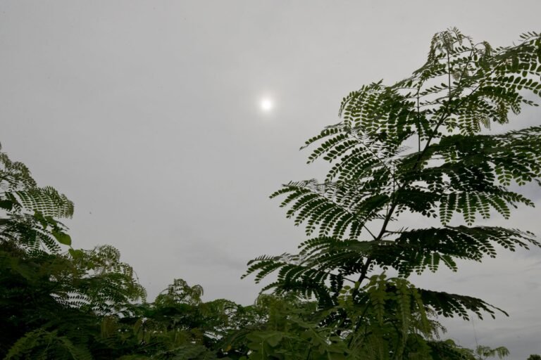 Por otro lado, se mantiene un riesgo moderado de corrientes marinas para la costa norte y este, incluyendo Culebra