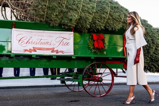 La Primera Dama recibió en la residencia presidencial el árbol festivo, entregado por un coche de caballos procedente de Michigan