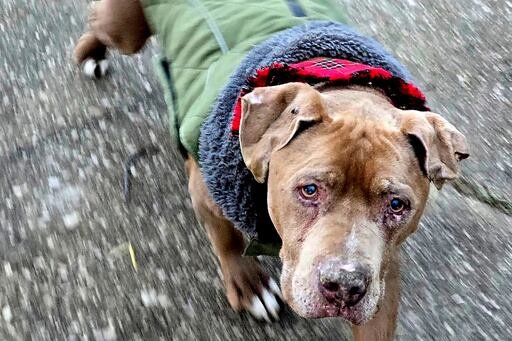 Amanda Hergenreder también debe pagar $ 1,000 en restitución