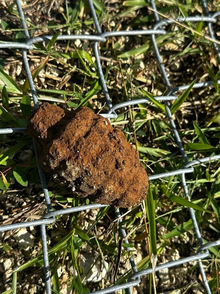 El aparato, que todavía tenía carga explosiva, será llevado a Isla de Cabras para ser decomisado