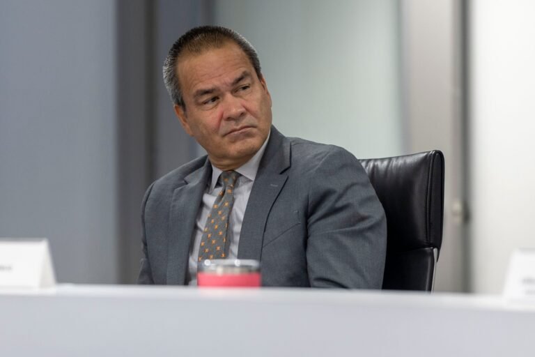 El Negociado de Energía debatió si los posibles costos deben incorporarse al cálculo de la revisión tarifaria en curso