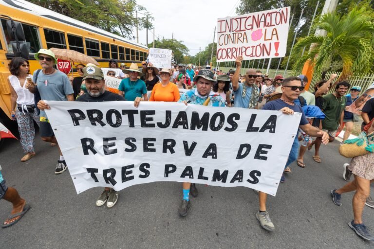 Los demandantes piden que se declaren nulos los permisos y que se detengan la totalidad de las obras
