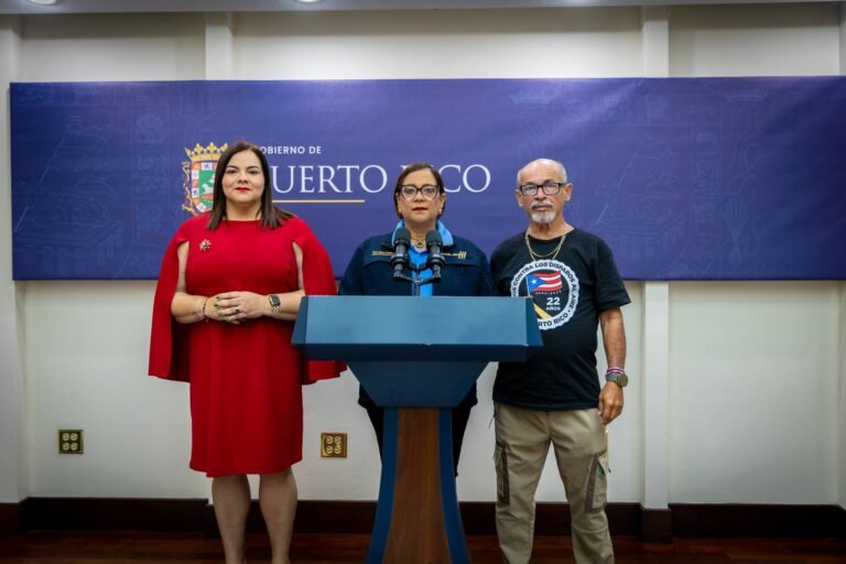 La jefa de la dependencia instó a prestar atención a sectores más propensos a lidiar con ideaciones suicidas, como adultos mayores y hombres de 45 a 65 años