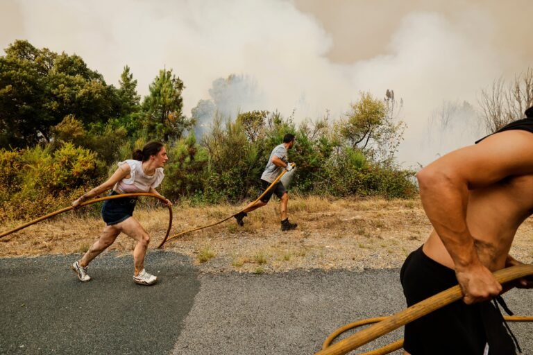 Fue también la primera vez que el promedio de temperatura a lo largo de tres años superó el umbral establecido en el Acuerdo de París