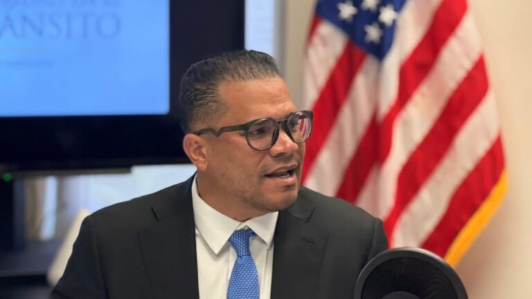 El director ejecutivo de la Comisión para la Seguridad en el Tránsito alegó que la togada Wanda Cruz Ayala utilizó el estrado para atacar al gobierno y la Legislatura