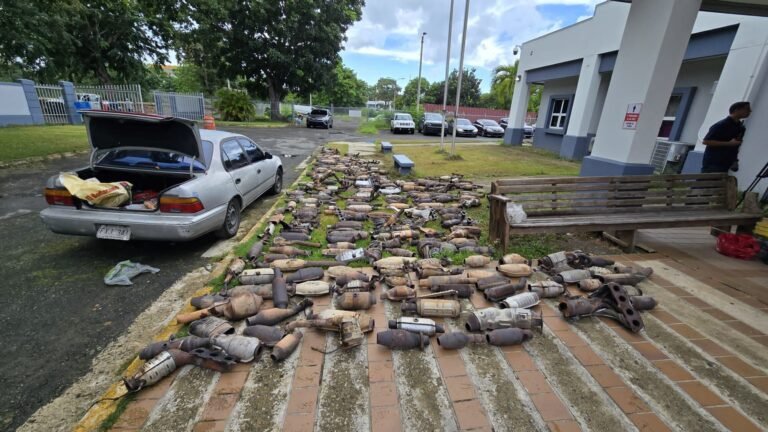 La agencia confirmó cuál es la marca de vehículos más afectada por estos crímenes y la zona de Puerto Rico con mayor incidencia