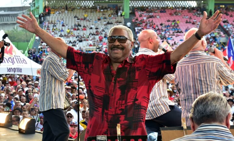 El domingo 14 y el lunes 15 de diciembre las banderas deberán ondear a media asta en todas las instalaciones gubernamentales