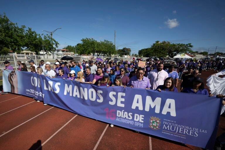 En la actividad celebrada en Toa Baja, participaron estudiantes, maestros y funcionarios, pero escaseó la presencia de organizaciones de servicios
