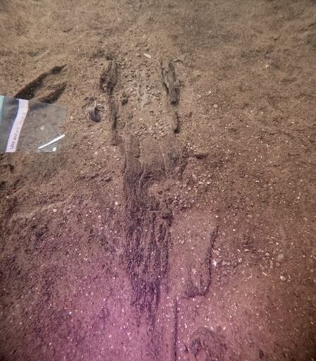 Arqueólogos entienden que hasta 5.200 años de antigüedad, en el lago Mendota, un “aparcamiento” indígena prehistórico