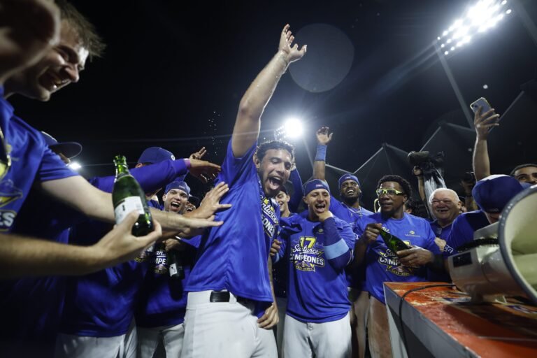 El prospecto de los Nationals de Washington cargó con el premio de Jugador Más Valioso en la serie de campeonato contra los Leones de Ponce