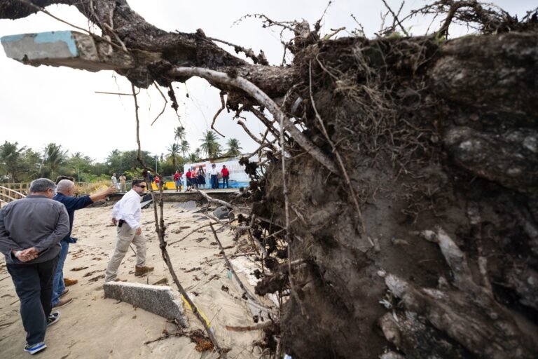 La agencia dio los primeros pasos para el análisis del terreno y adquirir esta herramienta que servirá de barrera sin perder el acceso a la playa en Loíza