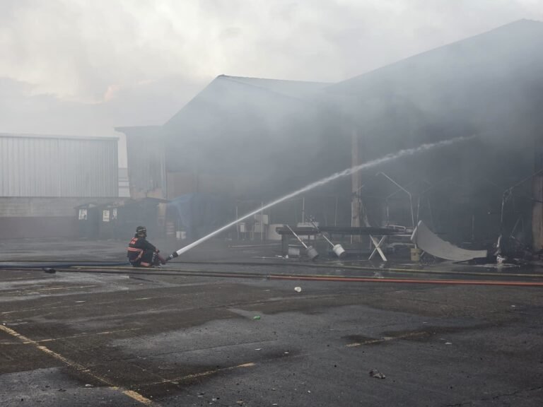 Los bomberos lograron controlar las llamas y se se encuentran en etapa de enfriamiento