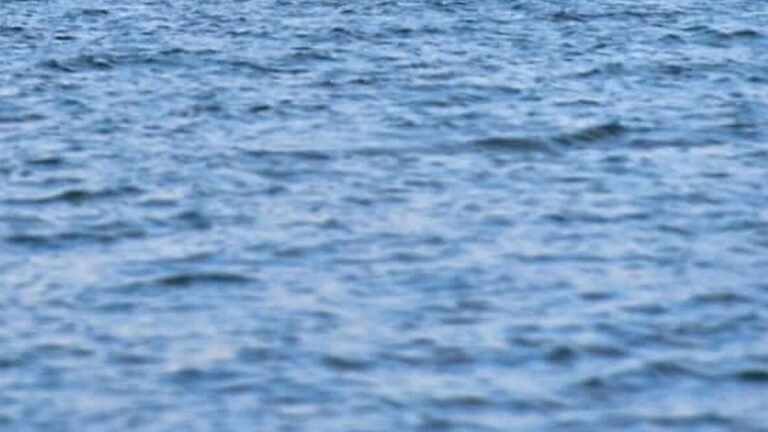 Al menos 215 han sido rescatadas