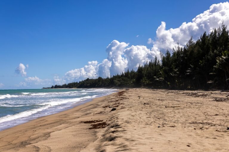 La medida, de la autoría del presidente Carlos “Johnny” Méndez, recibió cinco votos en contra de la delegación mayoritaria del PNP
