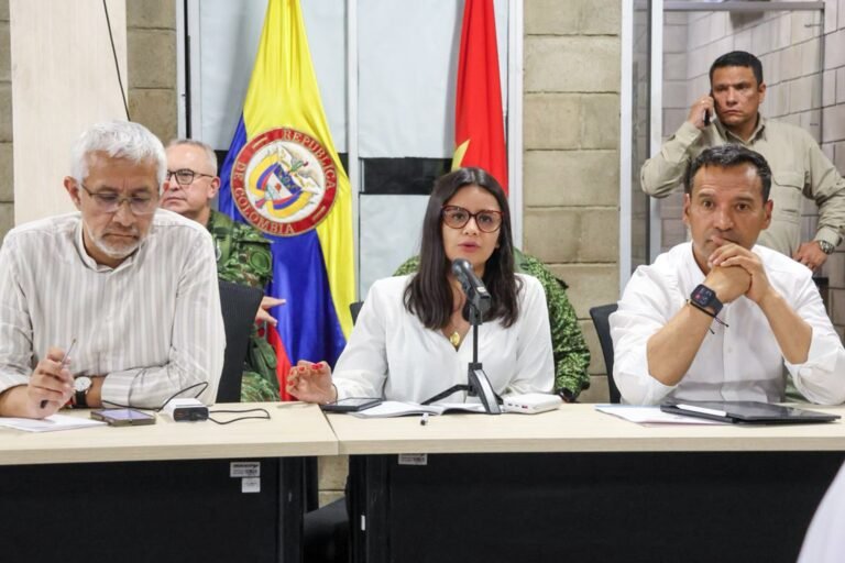 Se trata de una reacción del gobierno para evitar que grupos ilegales aprovechen la situación para realizar ataques