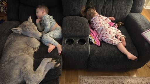 Tras perder una cría el invierno pasado por congelación, se apresuraron a llevarla al interior para calentarla