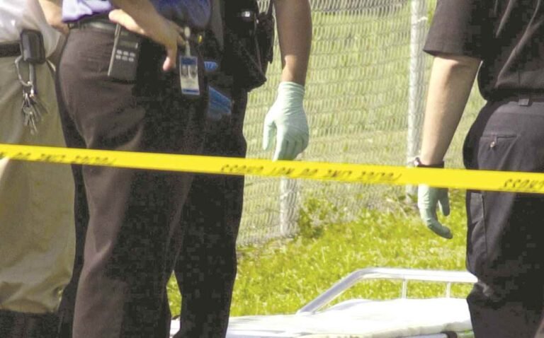 El caso se reportó en el barrio Ensenada, confirmó la Policía de Puerto Rico