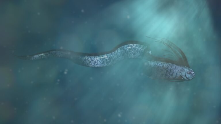 La fascinación y el miedo que generaron estas imágenes se reflejaron en los comentarios de los espectadores