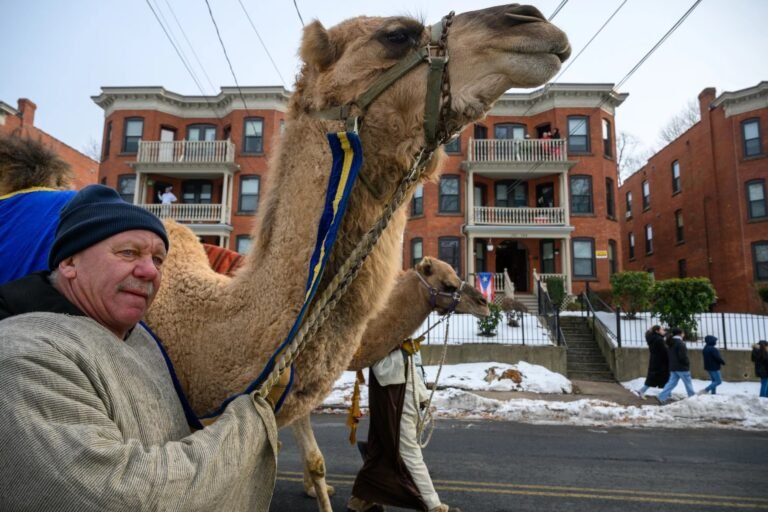 In Connecticut, where 8% of the population is Puerto Rican, the holiday is celebrated annually, and some schools grant the day off for children to spend time with their families