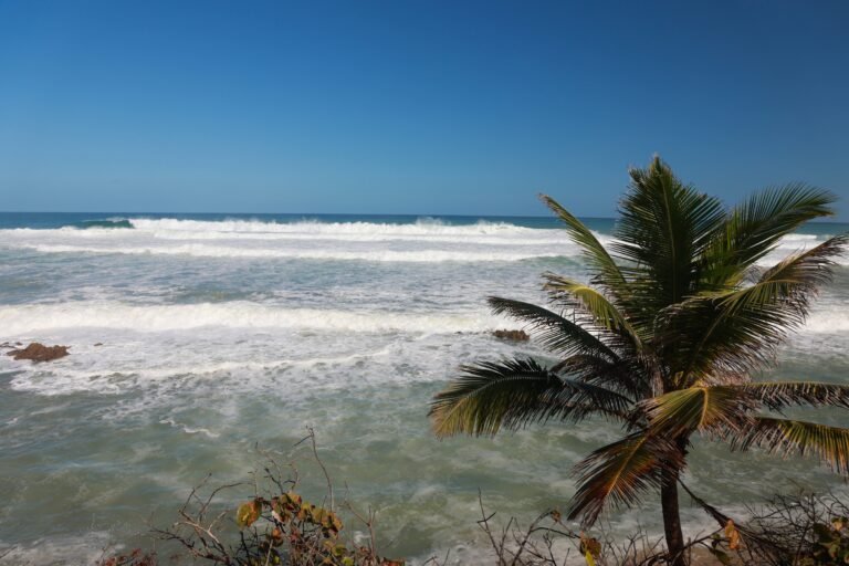 Conoce el pronóstico del tiempo para este jueves