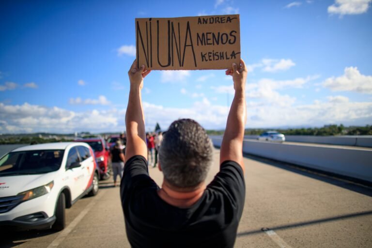 El recurso alerta sobre las potenciales consecuencias de la reciente determinación del Tribunal de Apelaciones