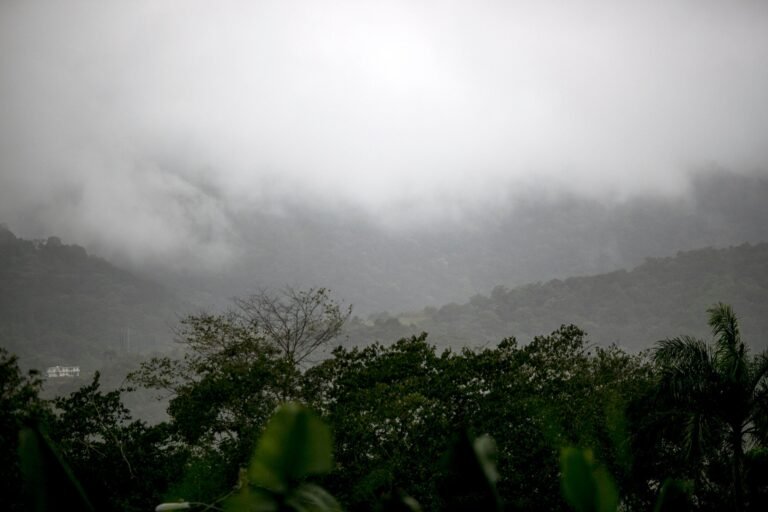 También existe un riesgo moderado de corrientes marinas en las playas expuestas del norte y este