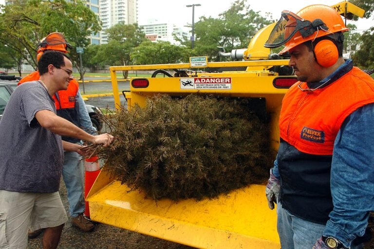 El material triturado será reutilizado en las instalaciones del Parque Forestal La Marquesa