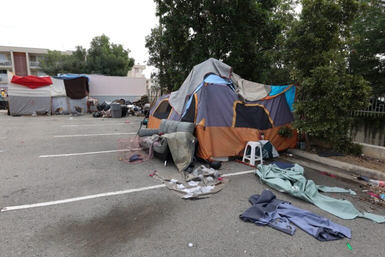 La organización Coordinadora Moriviví lidera este esfuerzo en 54 municipios del sur, este, oeste y centro, incluyendo Vieques y Culebra