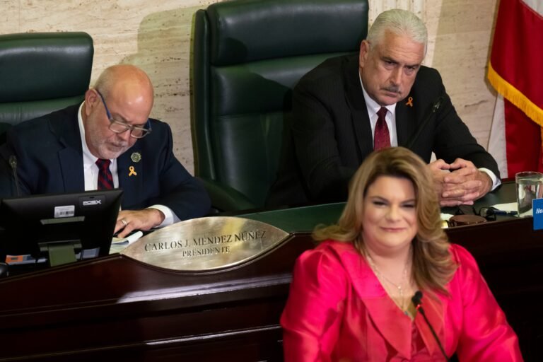 Según el presidente senatorial, Thomas Rivera Schatz, la medida tiene los votos y no altera el derecho al aborto, aunque se mostró a favor de restringirlo más