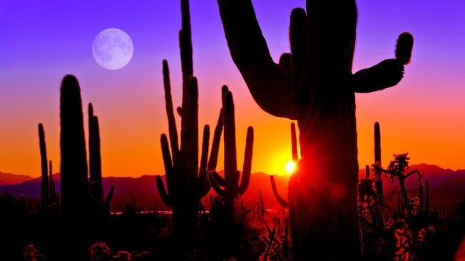 Aunque representaron un decenso frente al récord máximo, estuvieron por encima del promedio de todo el país