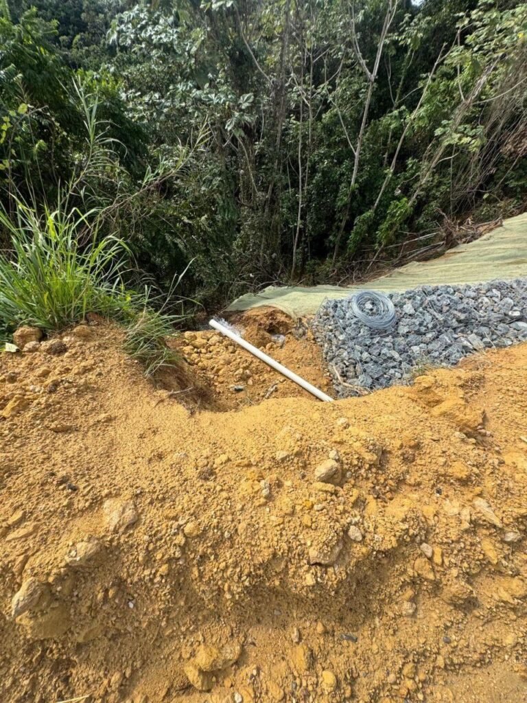 La alcaldesa moroveña, Carmen Maldonado, se expresó confiada en que el suplido se normalice este sábado