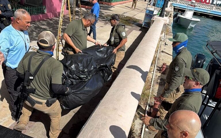Vigilantes del DRNA la encontraron flotando cerca de la maleza con una herida en su casco, informó el secretario Waldemar Quiles Pérez