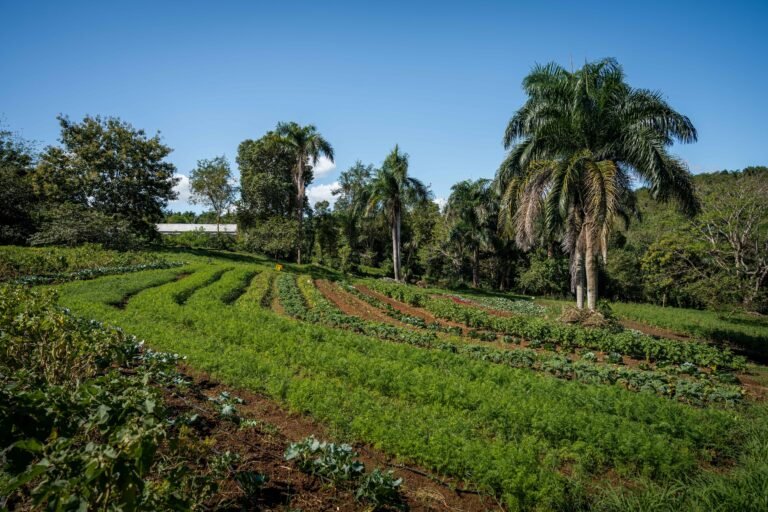 La medida de la senadora del PNP Roxanna Soto Aguilú incorporaría, además, definiciones para conceptos como “reserva natural” y “zona protegida”