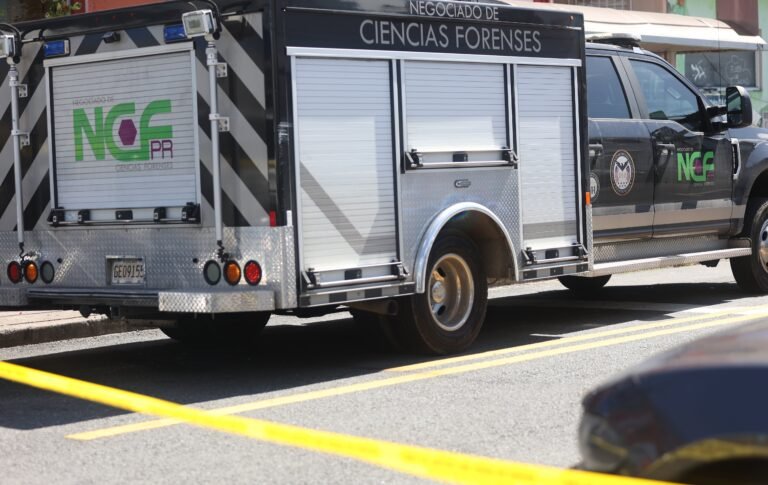 El hallazgo se reportó en la PR-359, en el barrio Cambalache