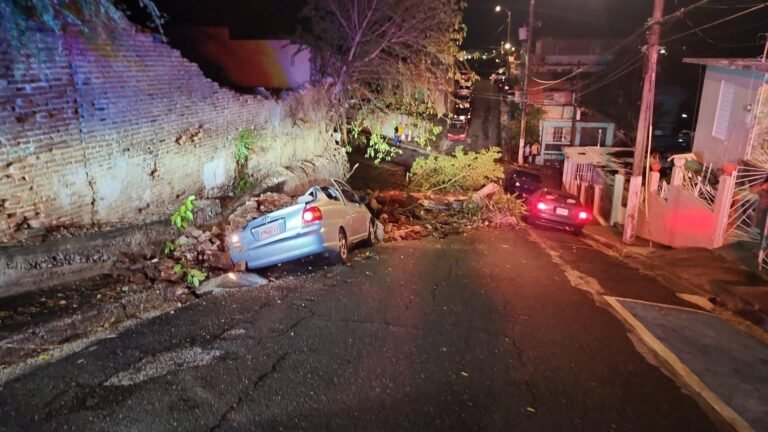 El muro cayó sobre un vehículo en el que, afortunadamente, no había nadie en su interior